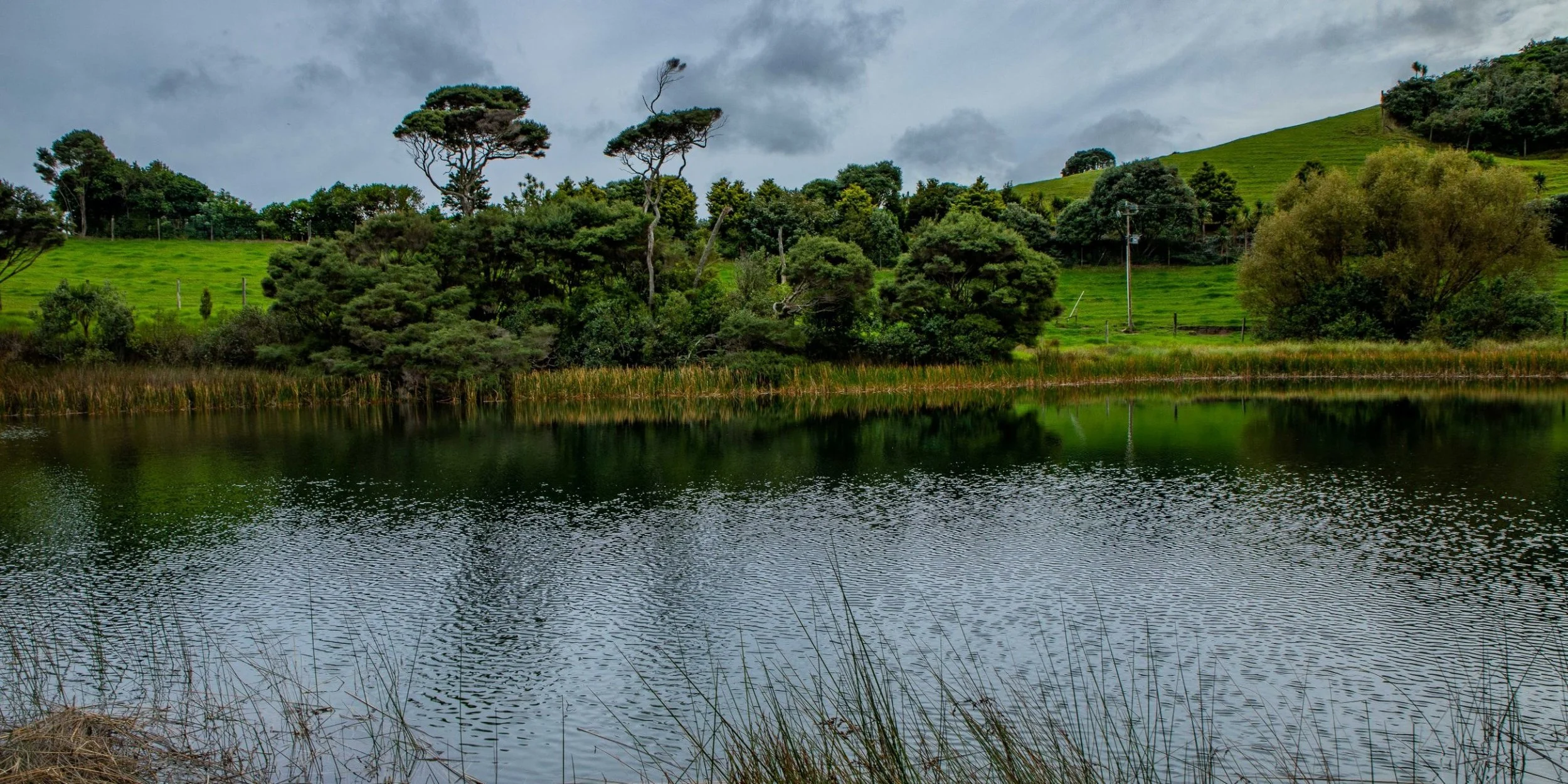 Lake Ototoa,-284.JPG