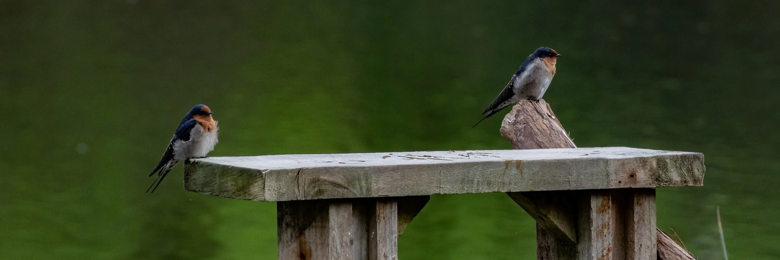 Lake Ototoa,-395.JPG