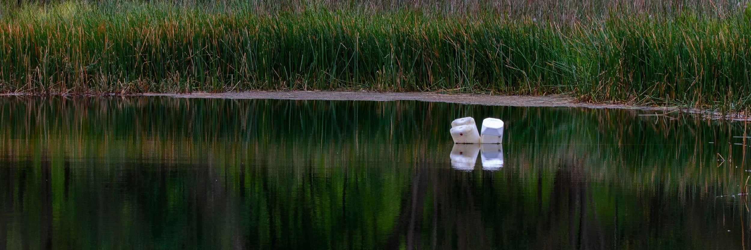 Lake Ototoa,-402.JPG