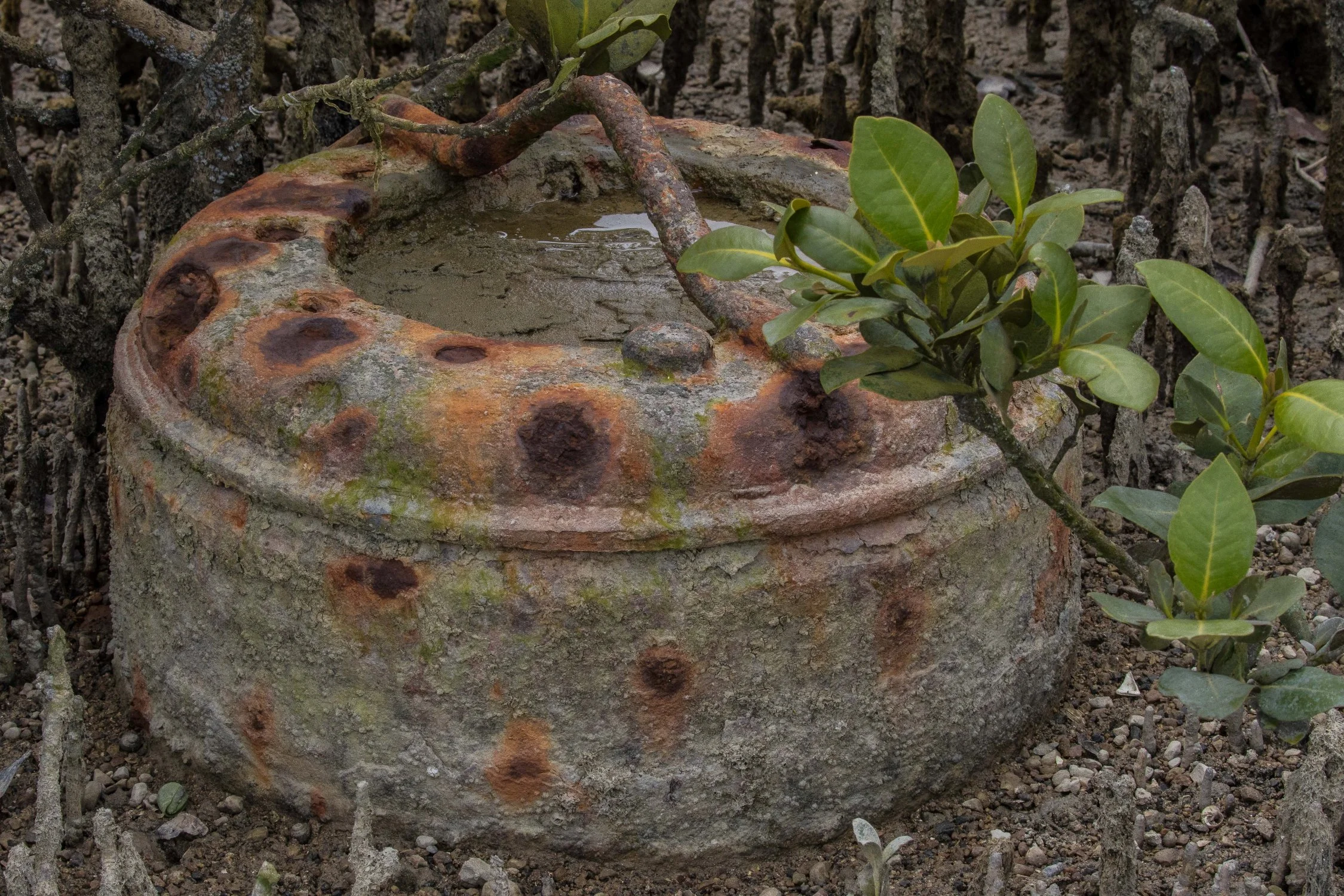 Port Albert,-073.JPG