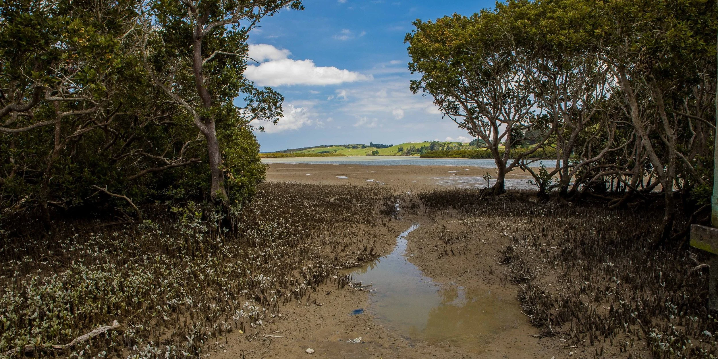 Port Albert,-114.JPG