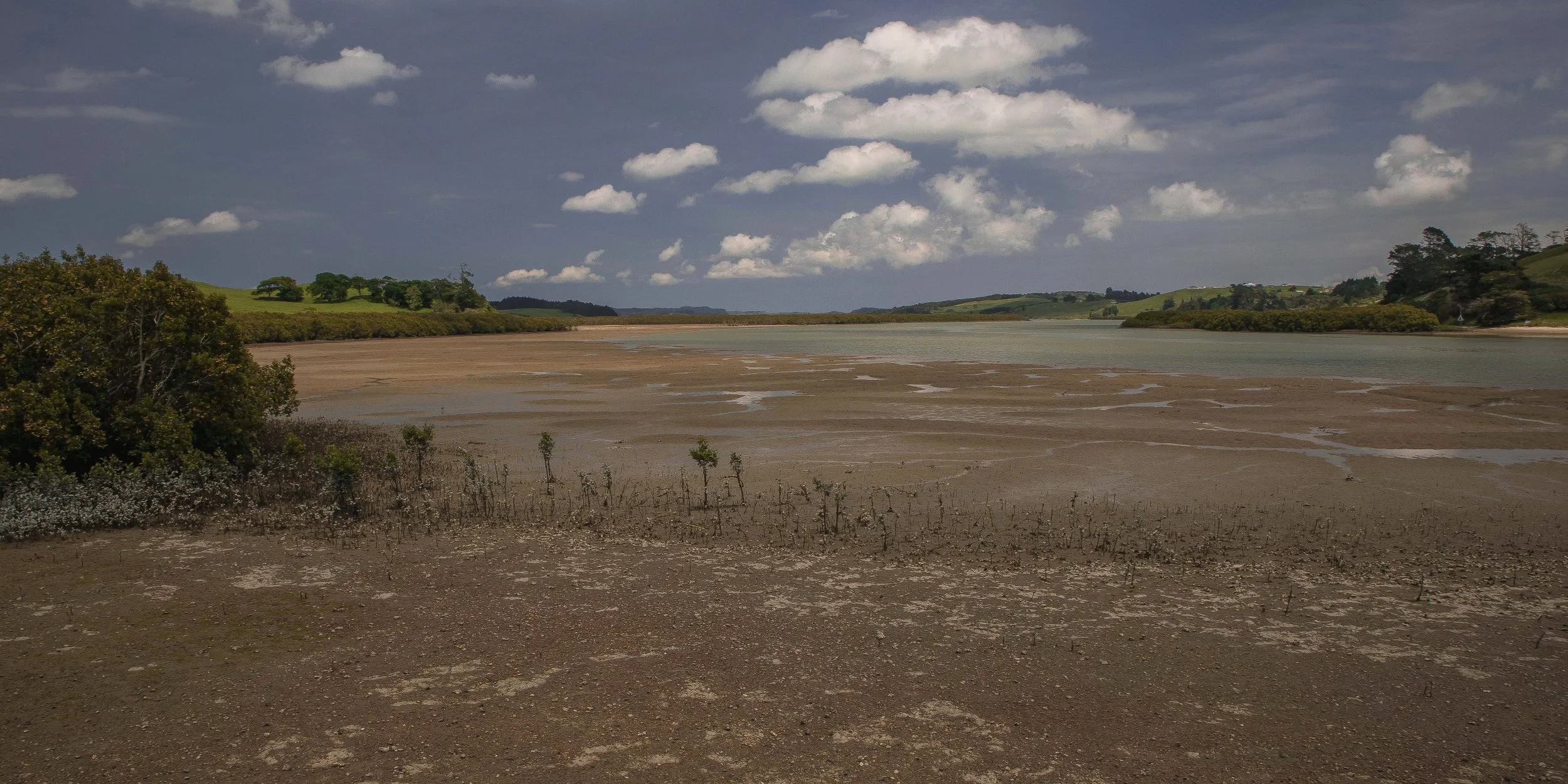 Port Albert,-122.JPG