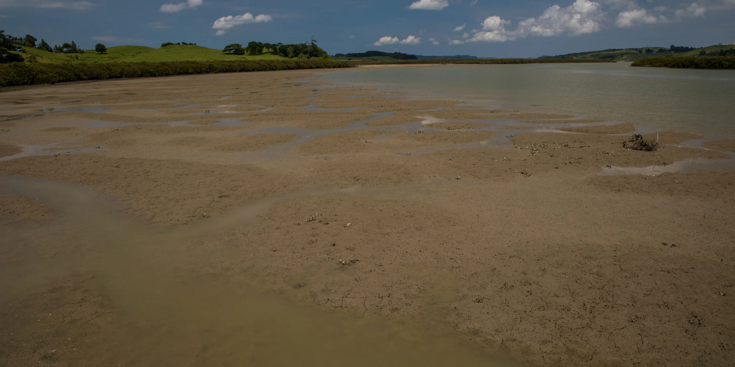 Port Albert,-124.JPG