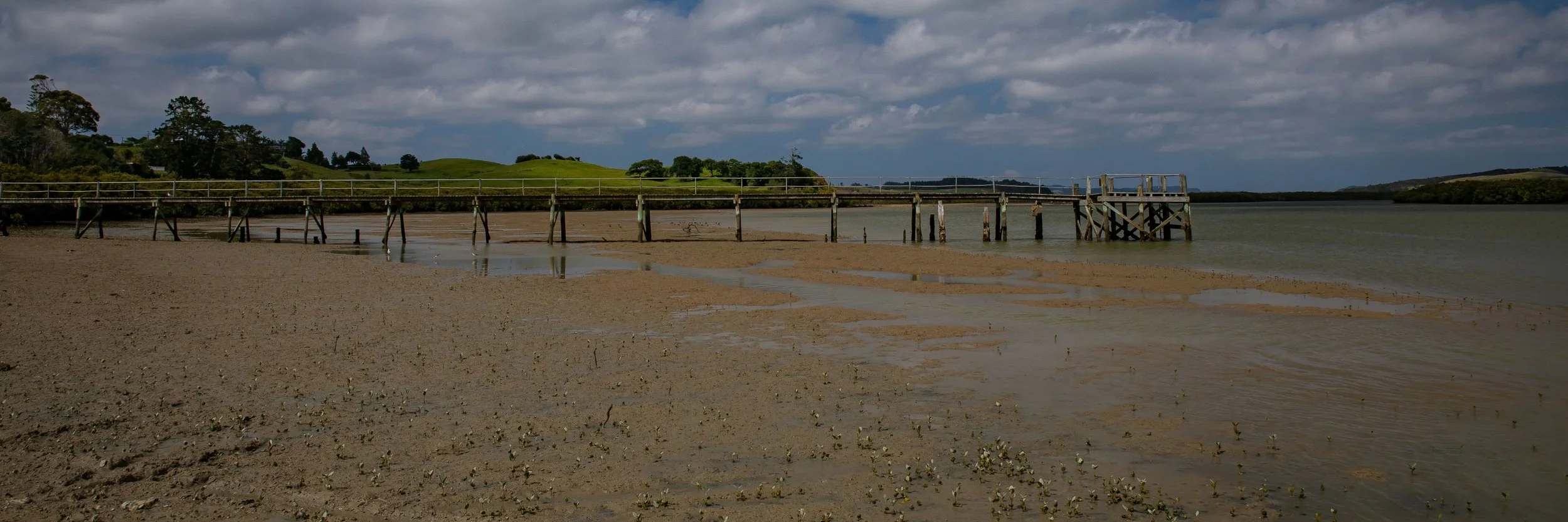 Port Albert,Kaipara Harbour,-616.JPG