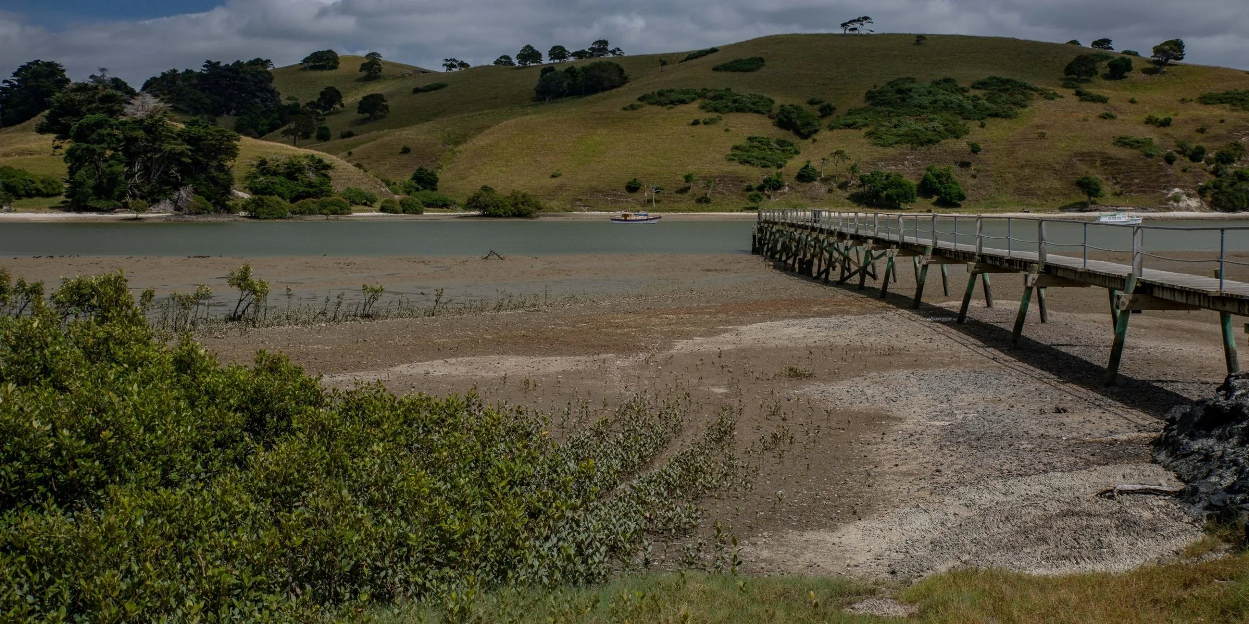Port Albert,Kaipara Harbour,-625.JPG