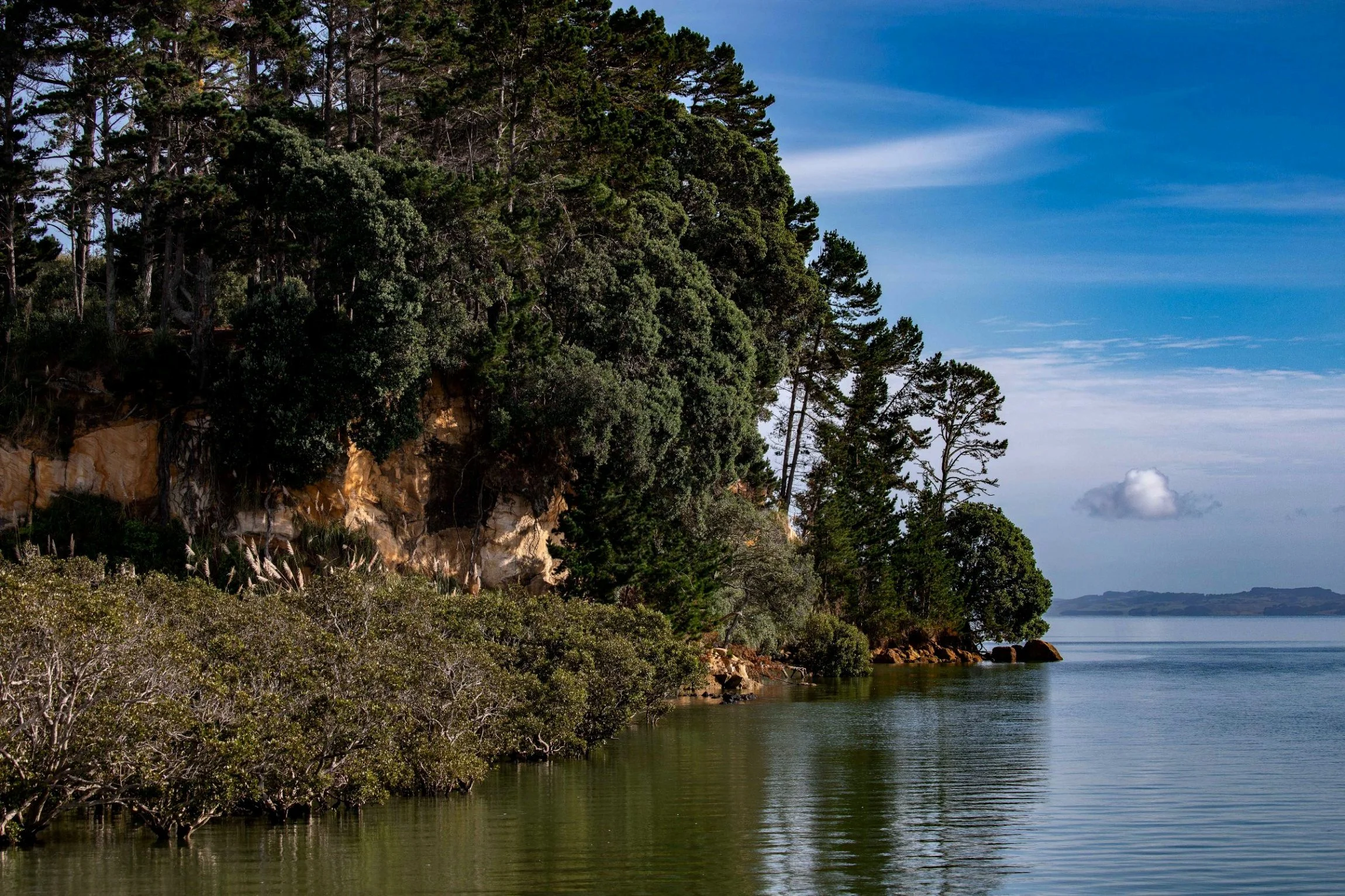 Shelly Beach,Kaipara Harbour,-155.JPG