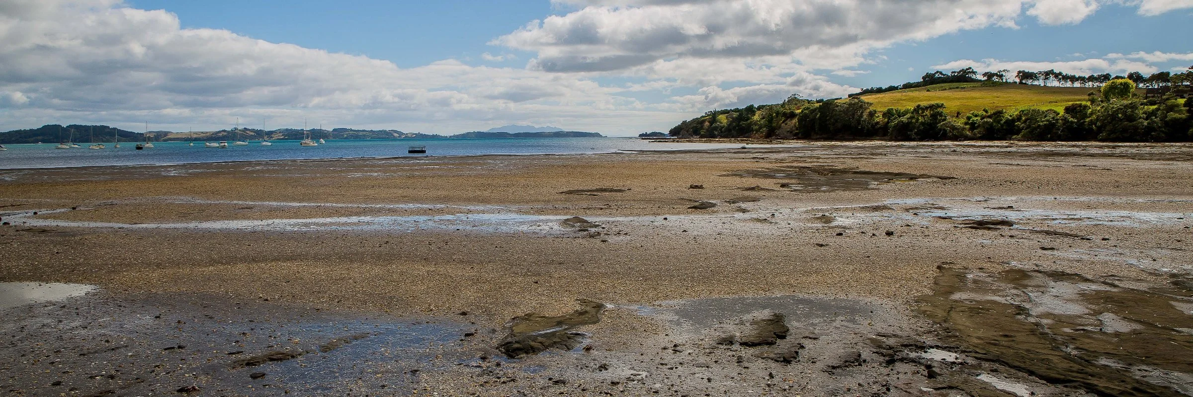 Algies Bay,d-097.jpg