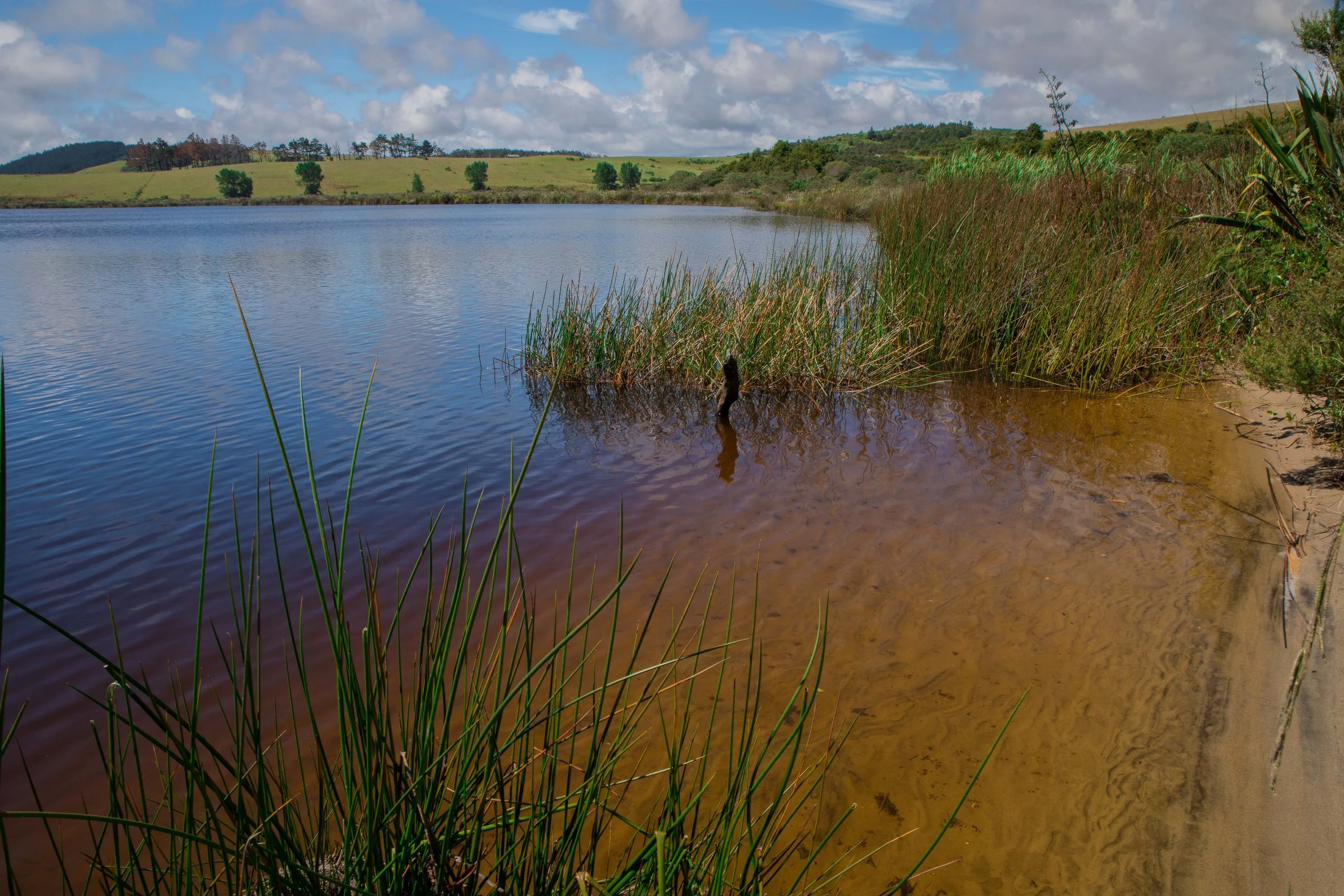 Lake Tomarata,-056.JPG