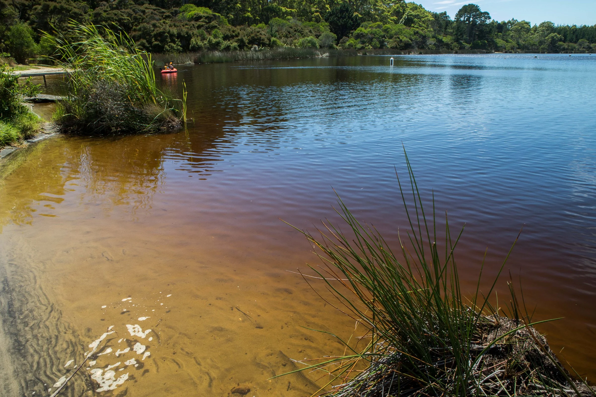 Lake Tomarata,-058.JPG