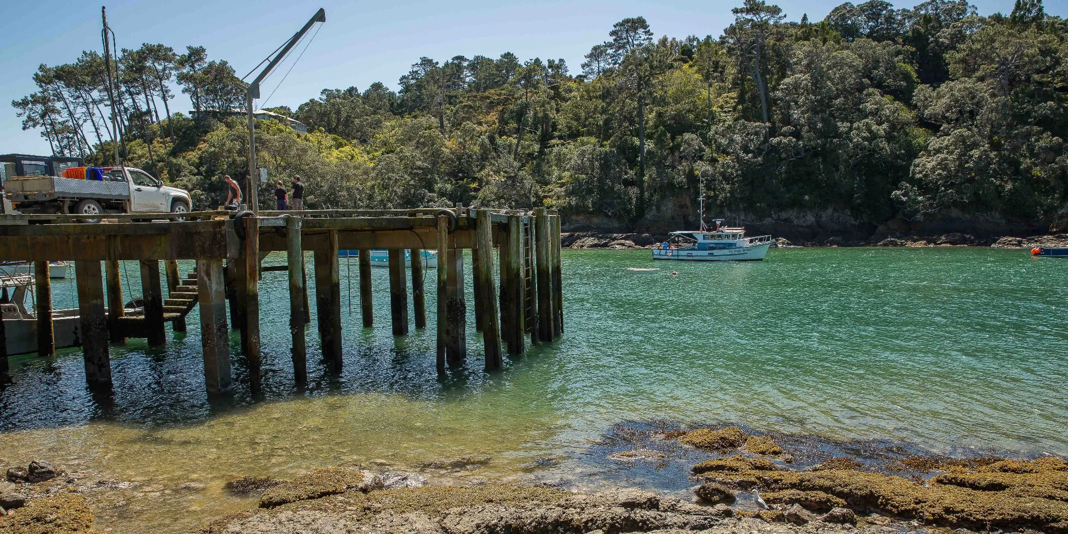 Leigh Harbour,d-221.jpg