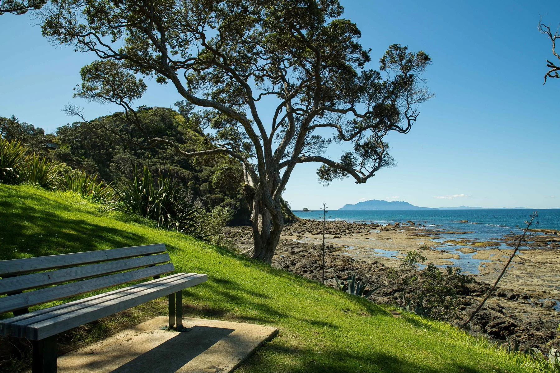 Mathesons Bay,d-227.jpg