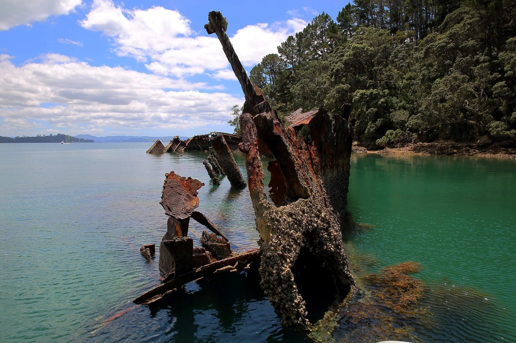 Moturekareka Is,d-328.jpg