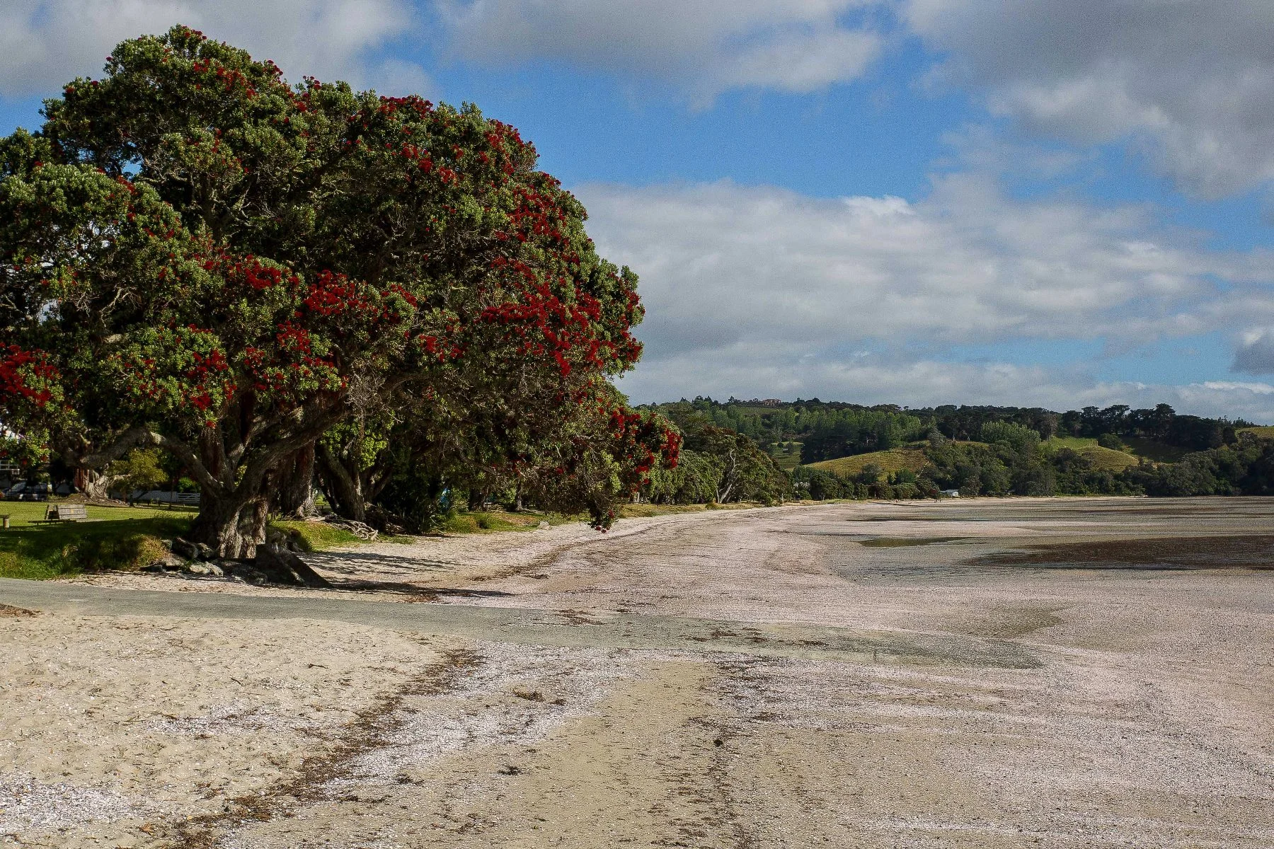 Snells Beach,d-005.jpg