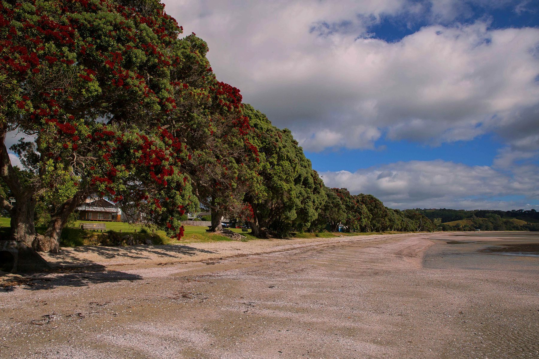 Snells Beach,d-006.jpg