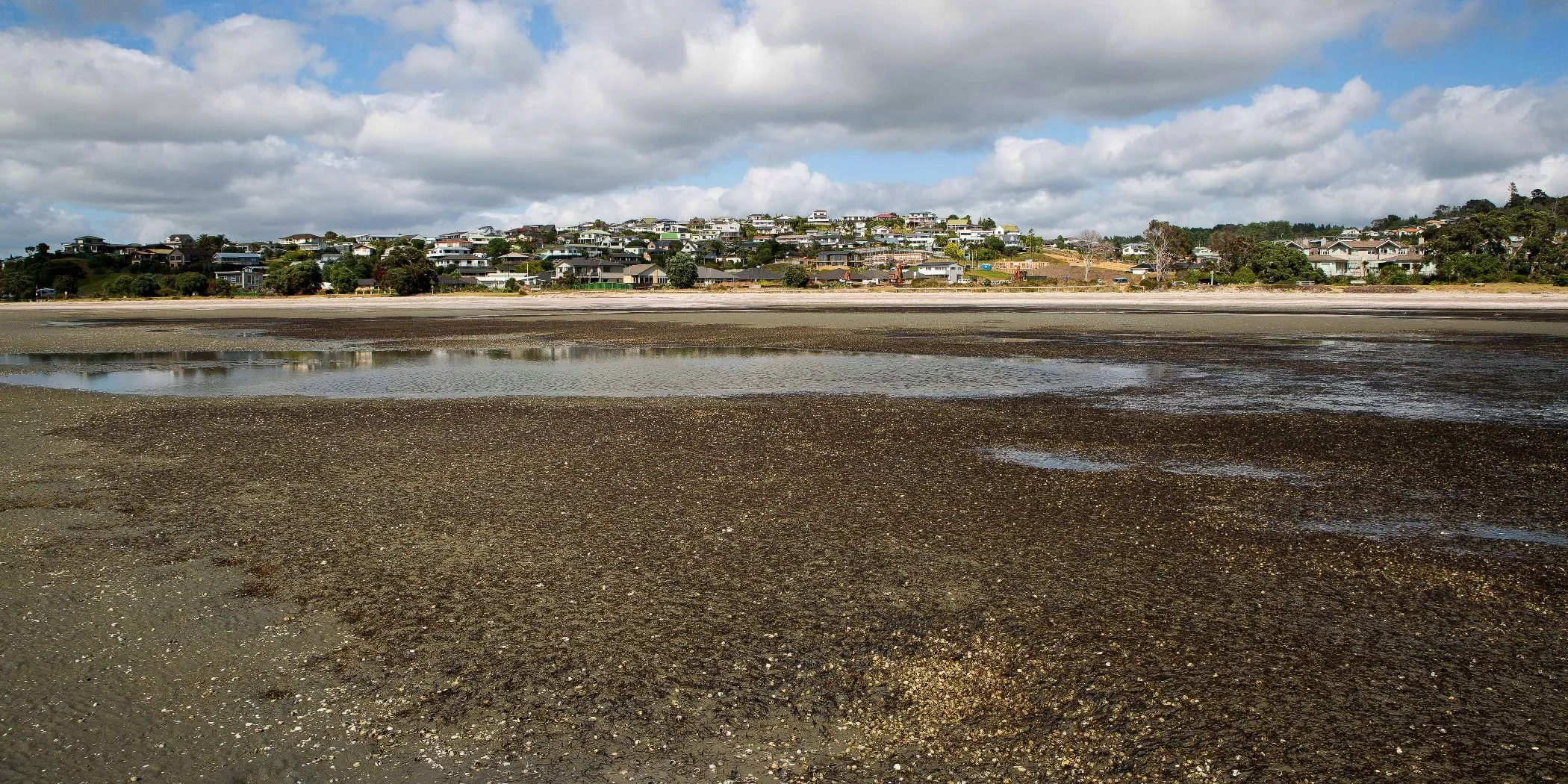 Snells Beach,d-013.jpg