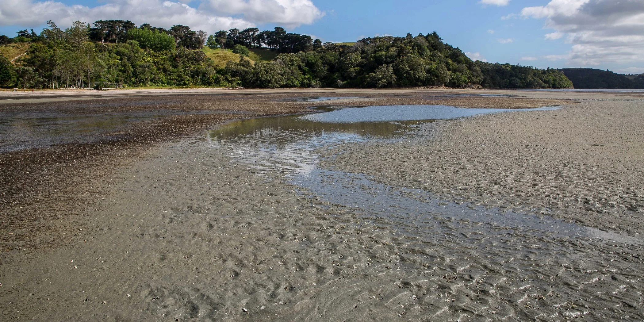 Snells Beach,d-014.jpg