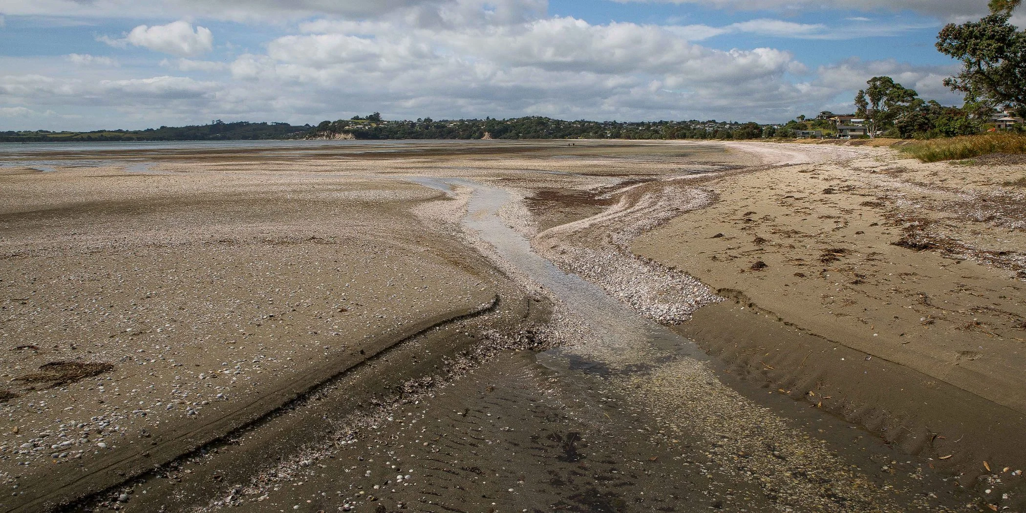 Snells Beach,d-031.jpg