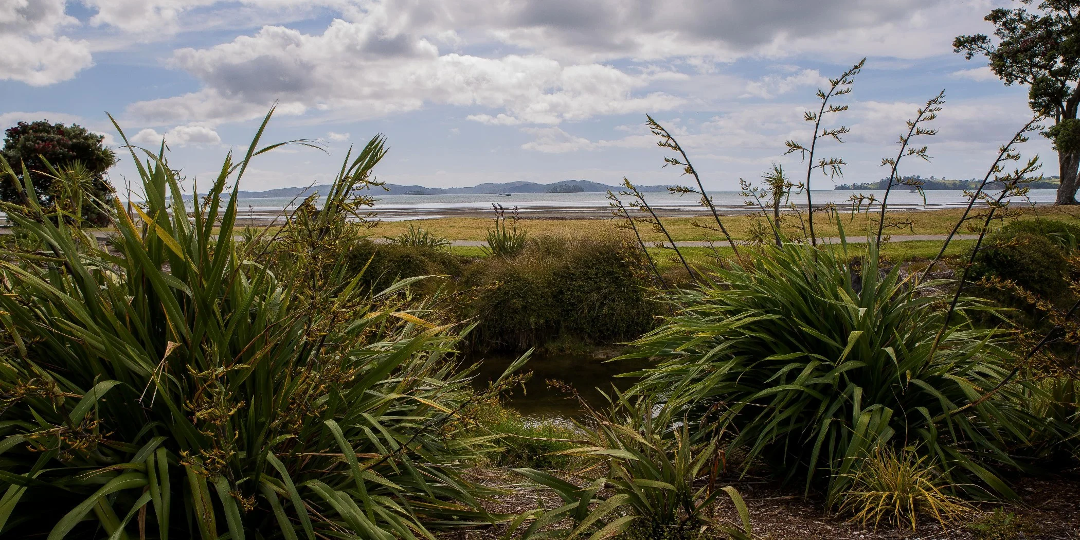 Snells Beach,d-036.jpg