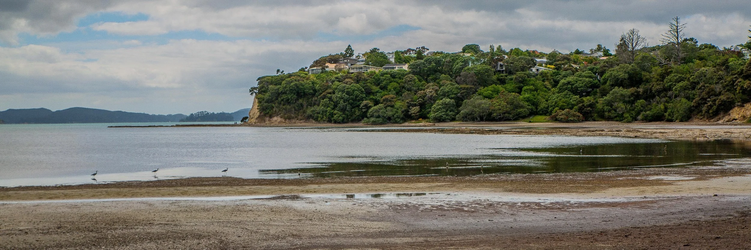 Snells Beach,d-070.jpg