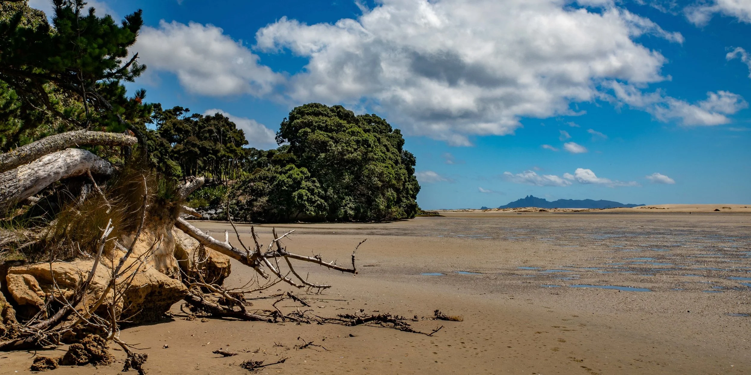 Mangawhai Estuary,-538.JPG