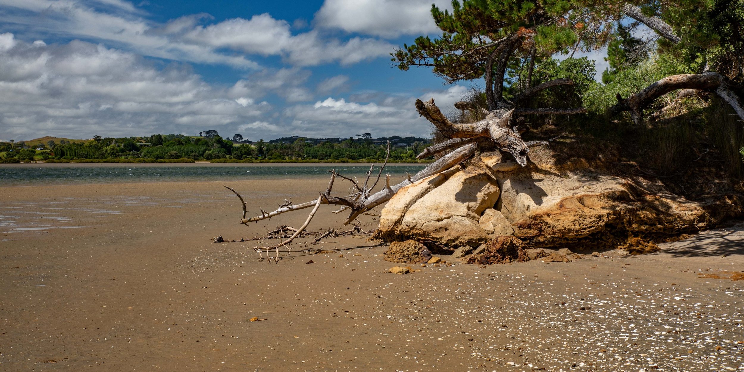 Mangawhai Estuary,-537.JPG