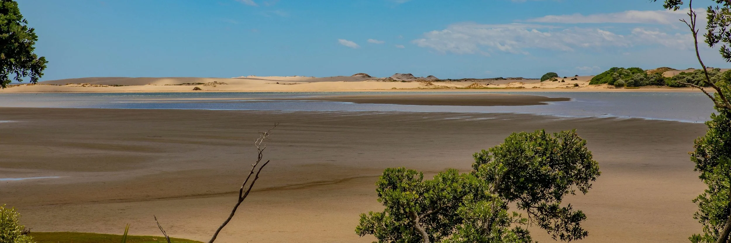 Mangawhai Estuary,-547.JPG