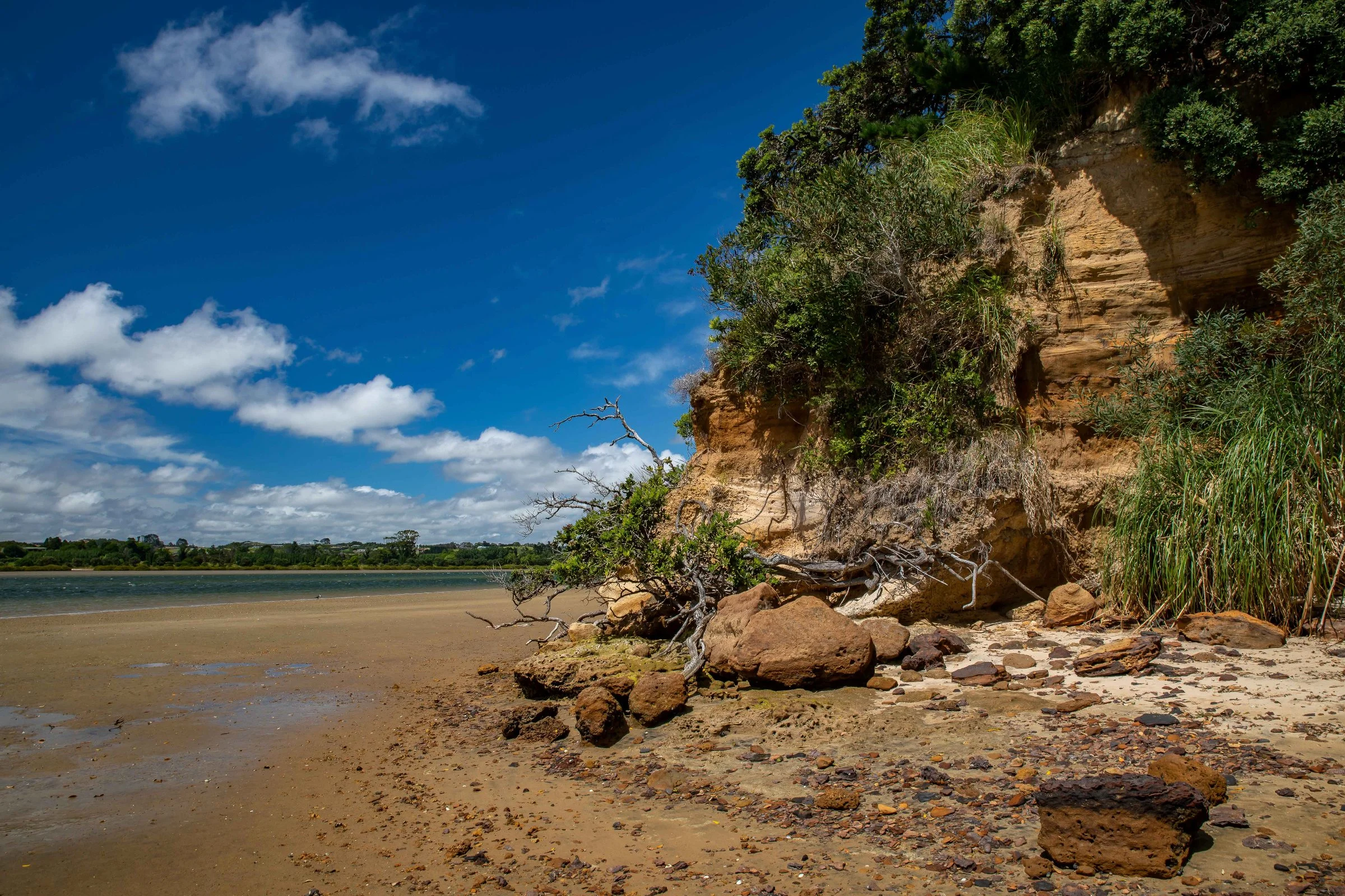 Mangawhai Estuary,-540.JPG