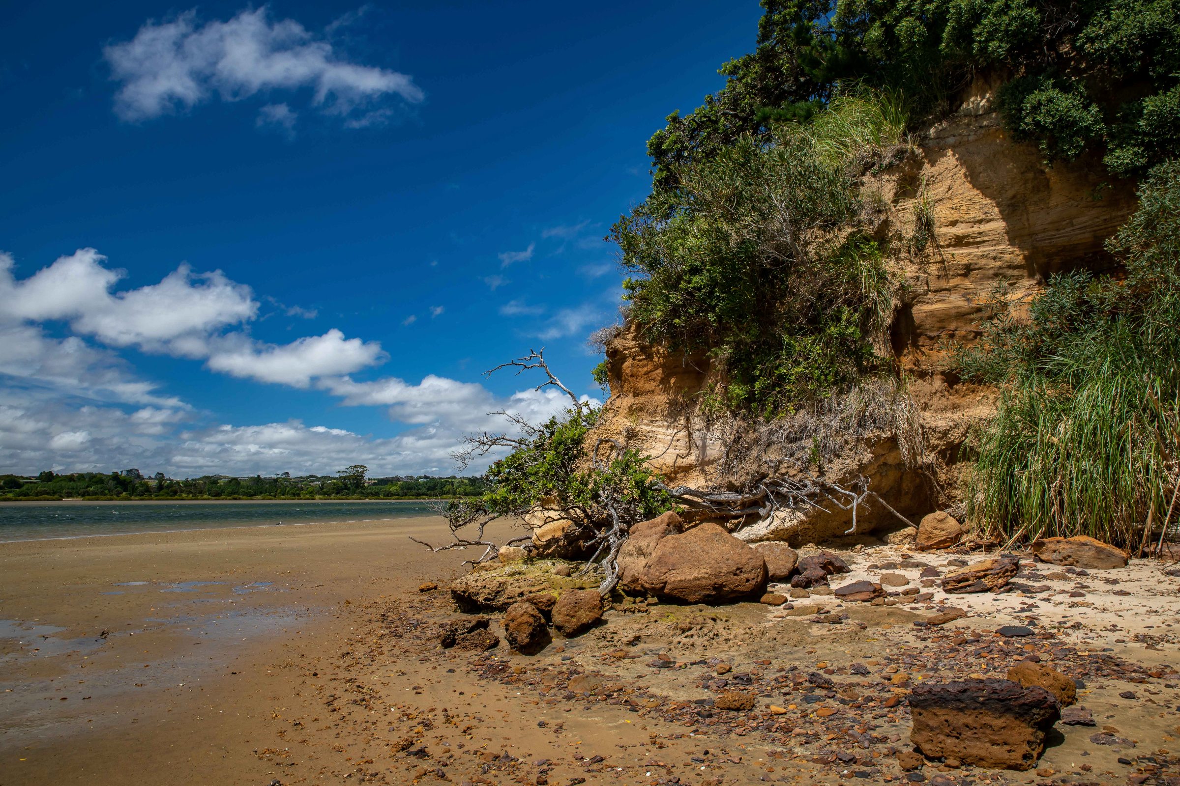 Mangawhai Estuary,-540.JPG