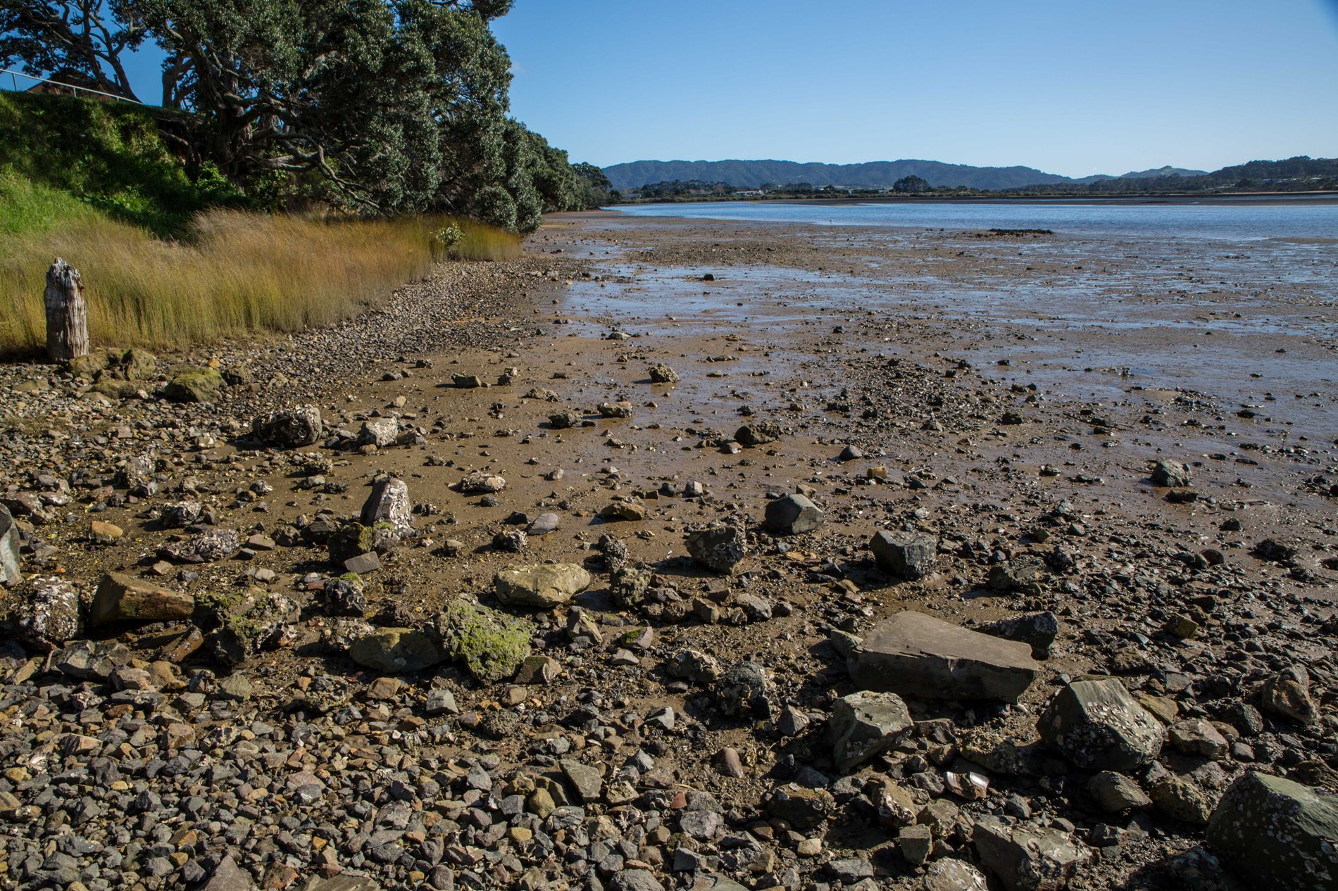 Mangawhai Estuary,-6178.JPG