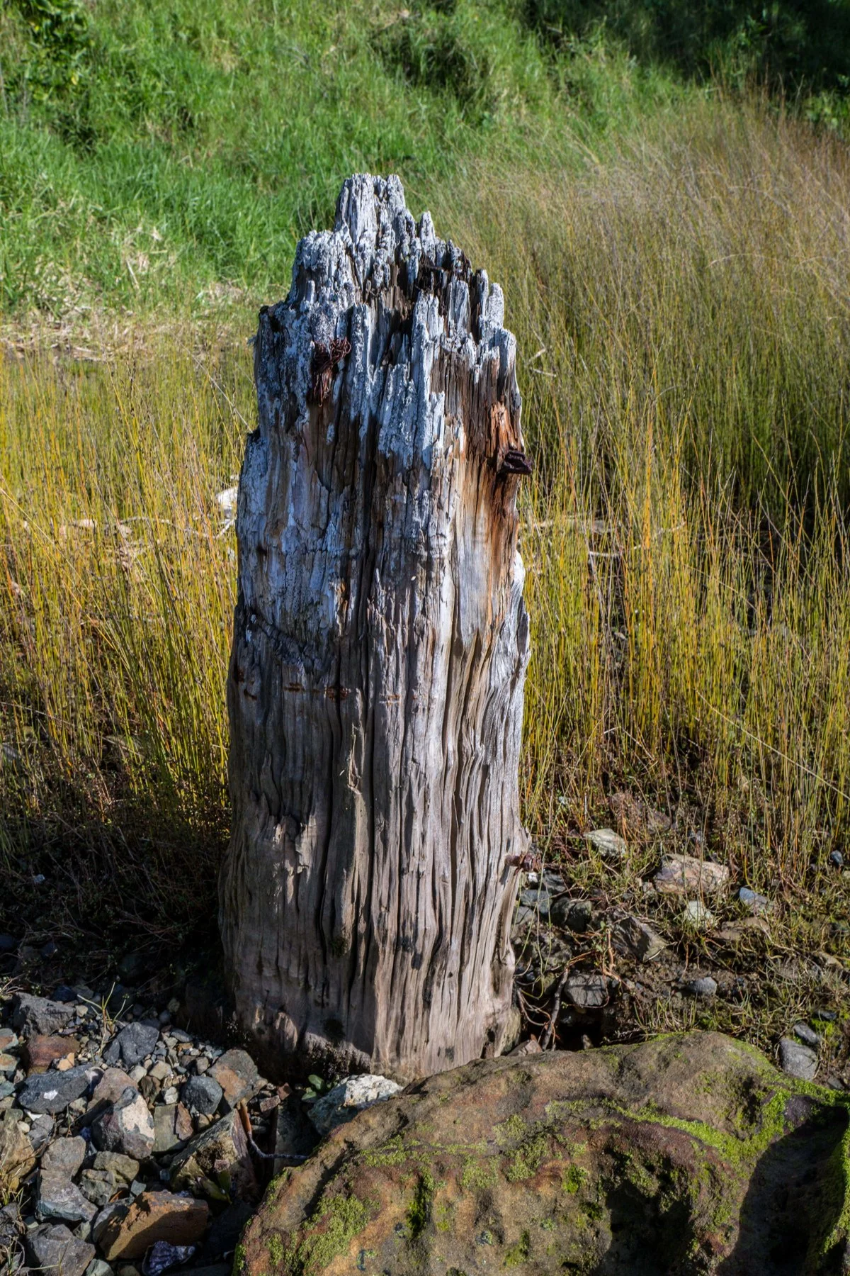 Mangawhai Estuary,-6181.JPG