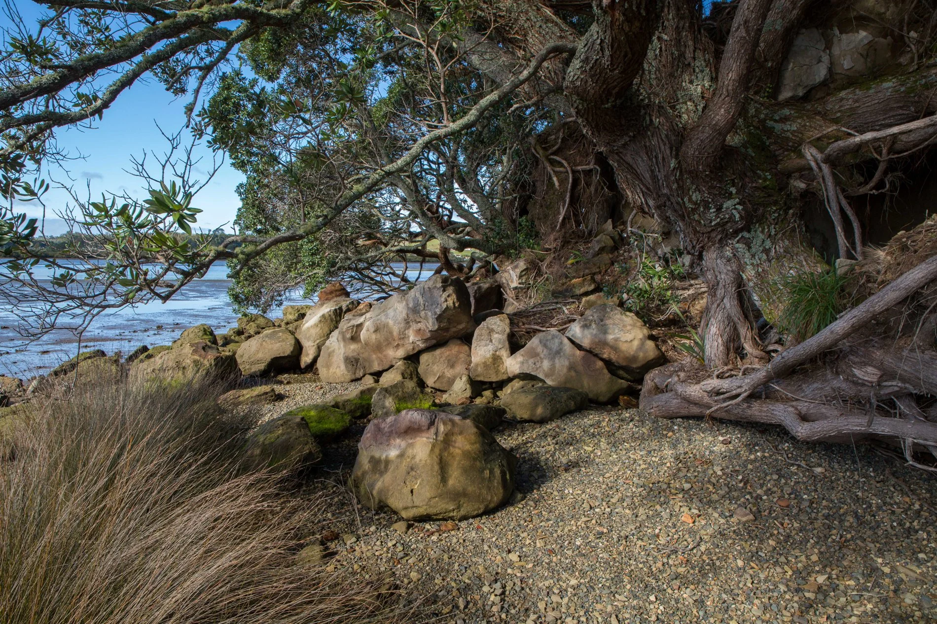 Mangawhai Estuary,-6186.JPG