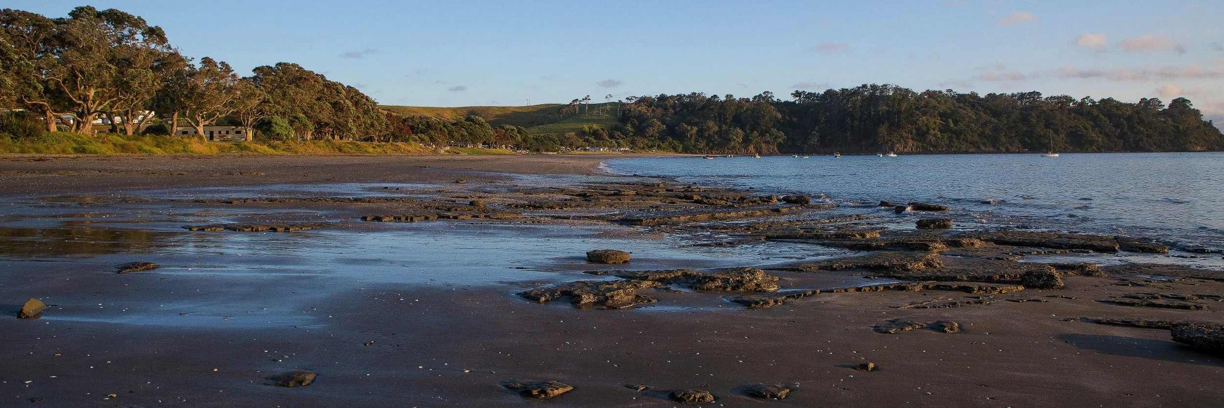 Martins Bay,d-005.jpg