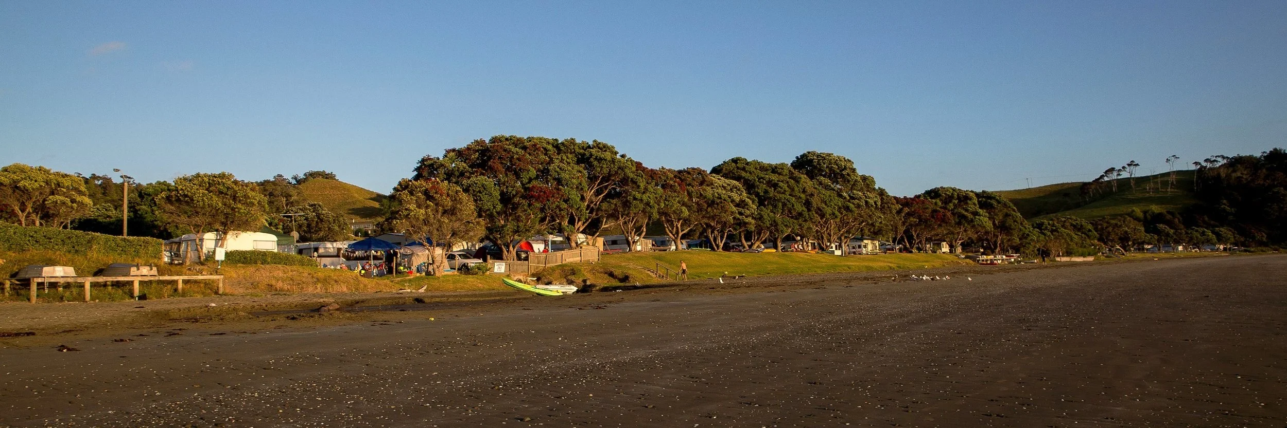 Martins Bay,d-006.jpg