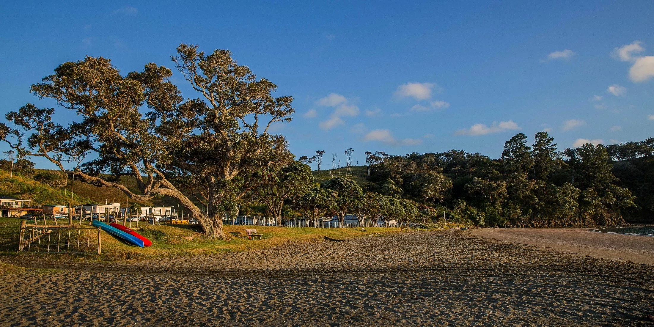 Martins Bay,d-013.jpg