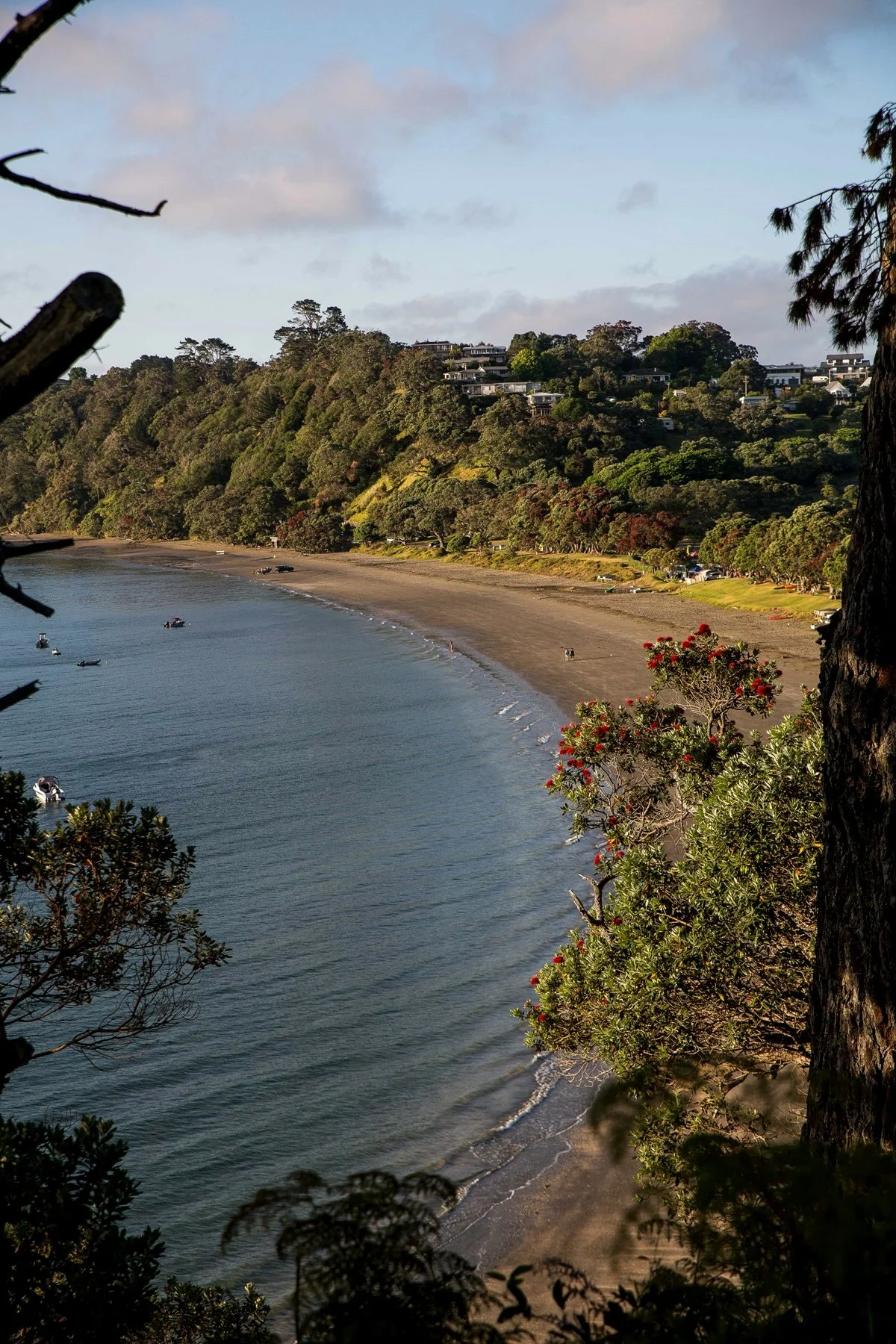 Martins Bay,d-016.jpg