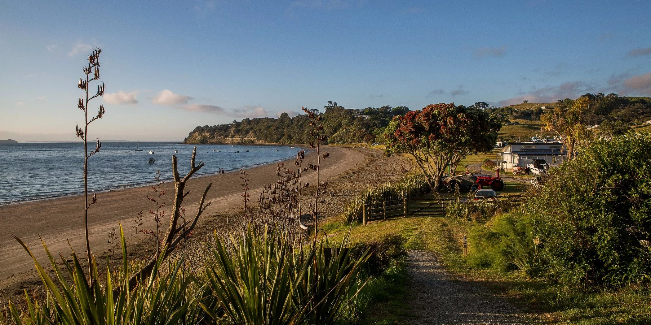 Martins Bay,d-015.jpg