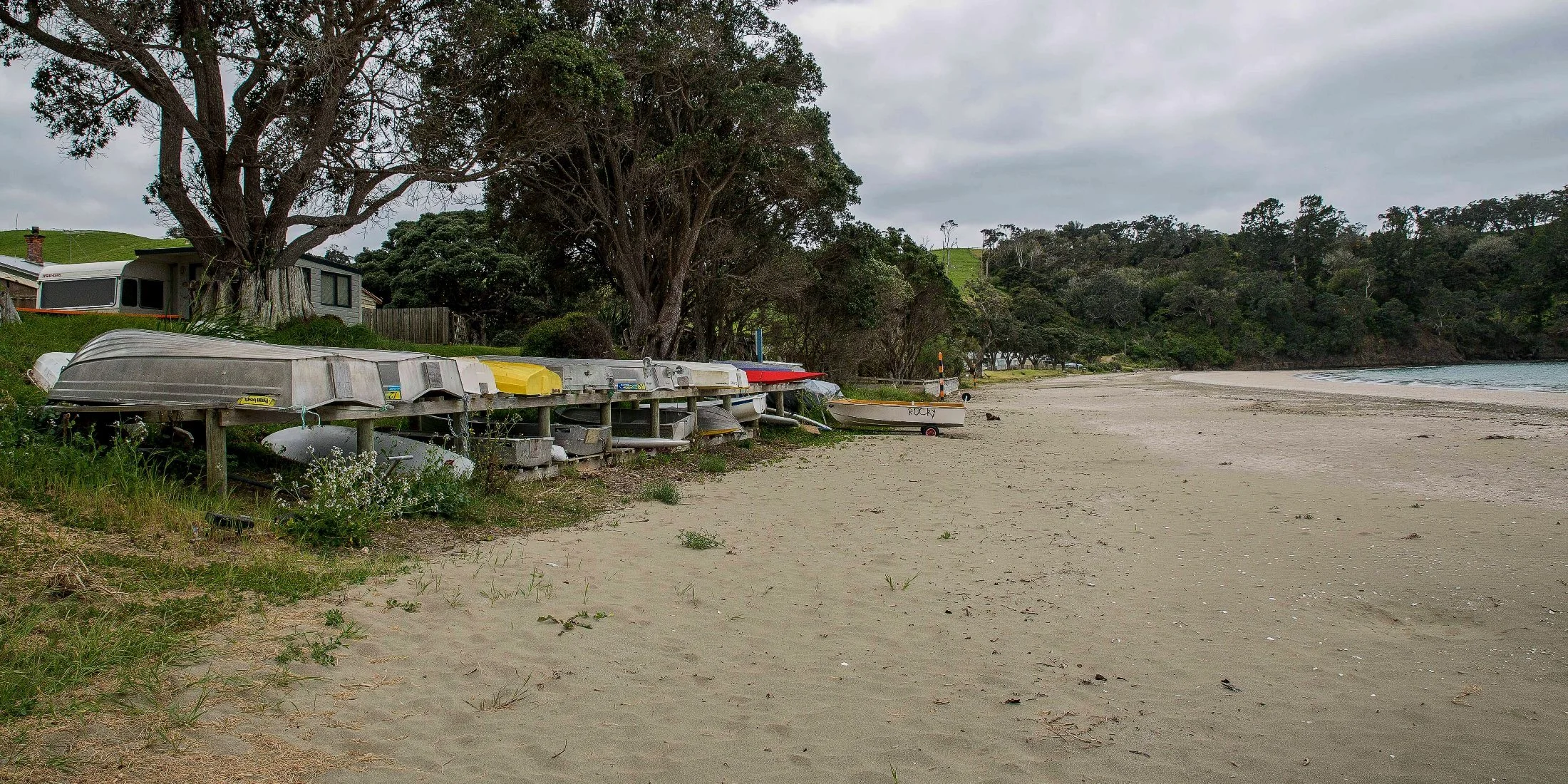 Martins Bay,d-087.jpg