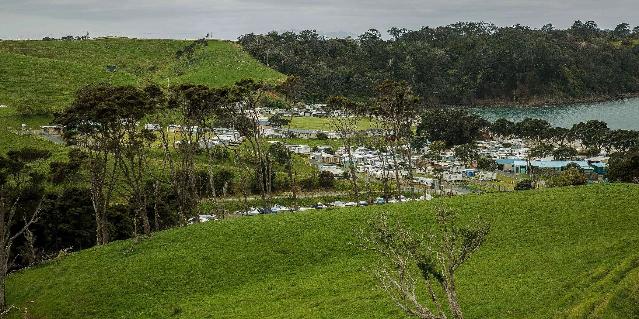 Martins Bay,d-101.jpg