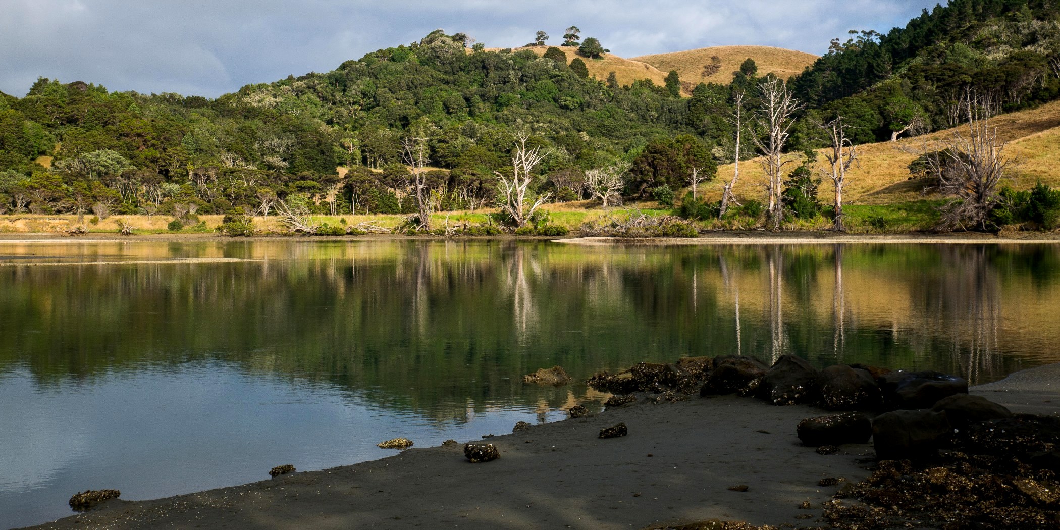 Puhoi Estuary,d-285.jpg