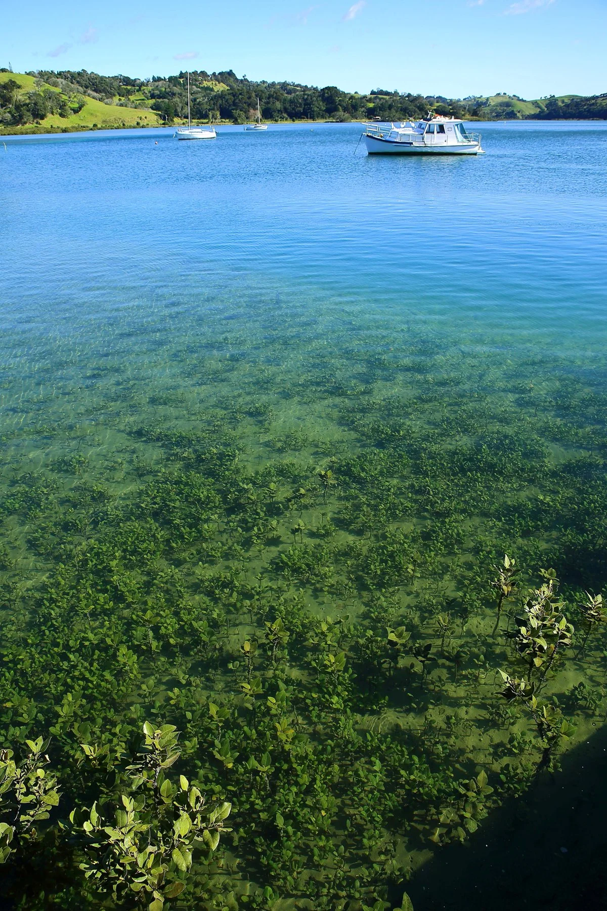 Puhoi River,d112,-.jpg