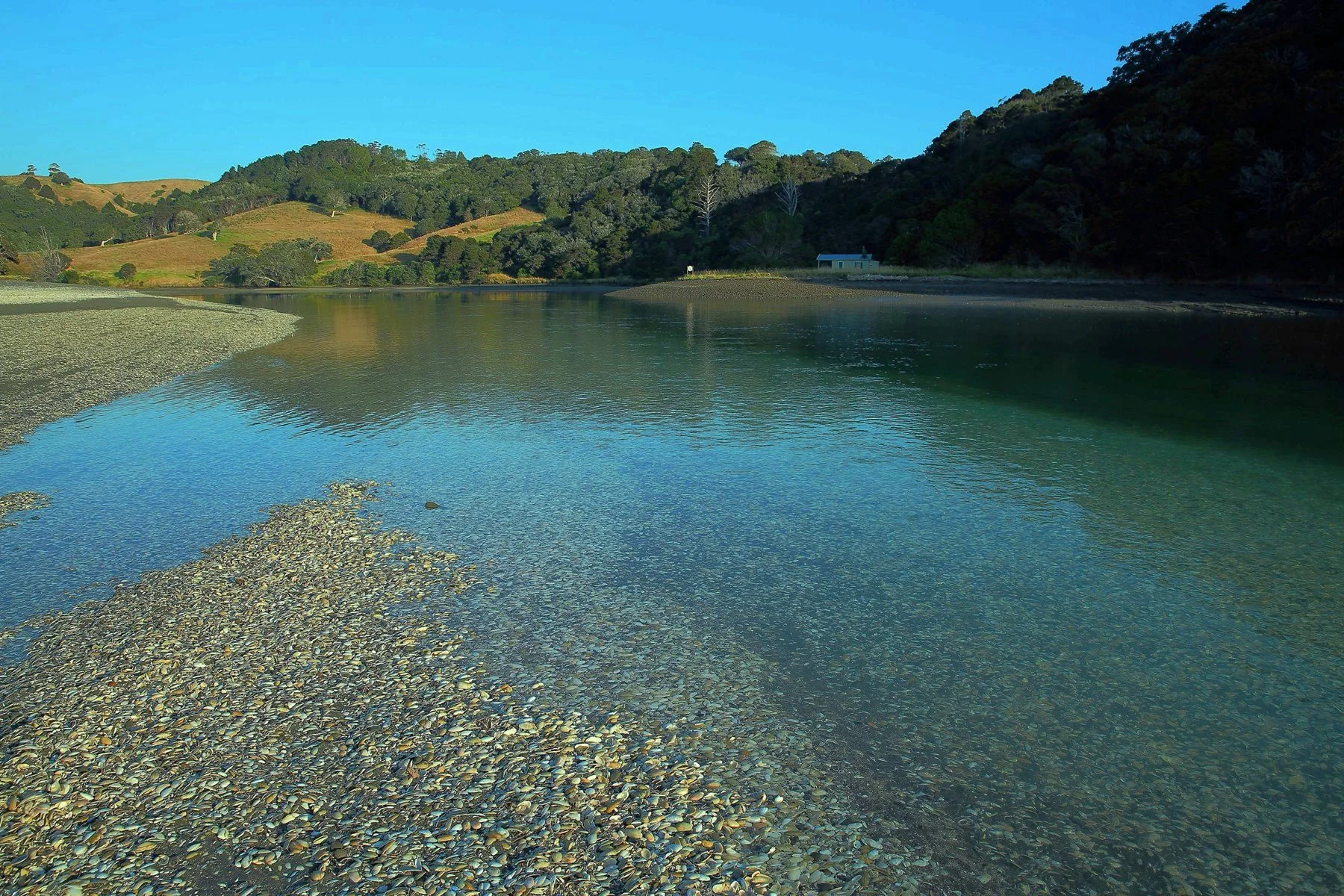 Puhoi River,-d592.jpg