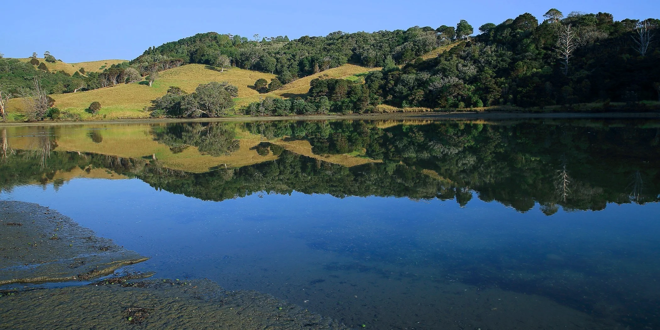 Puhoi River,-d604.jpg