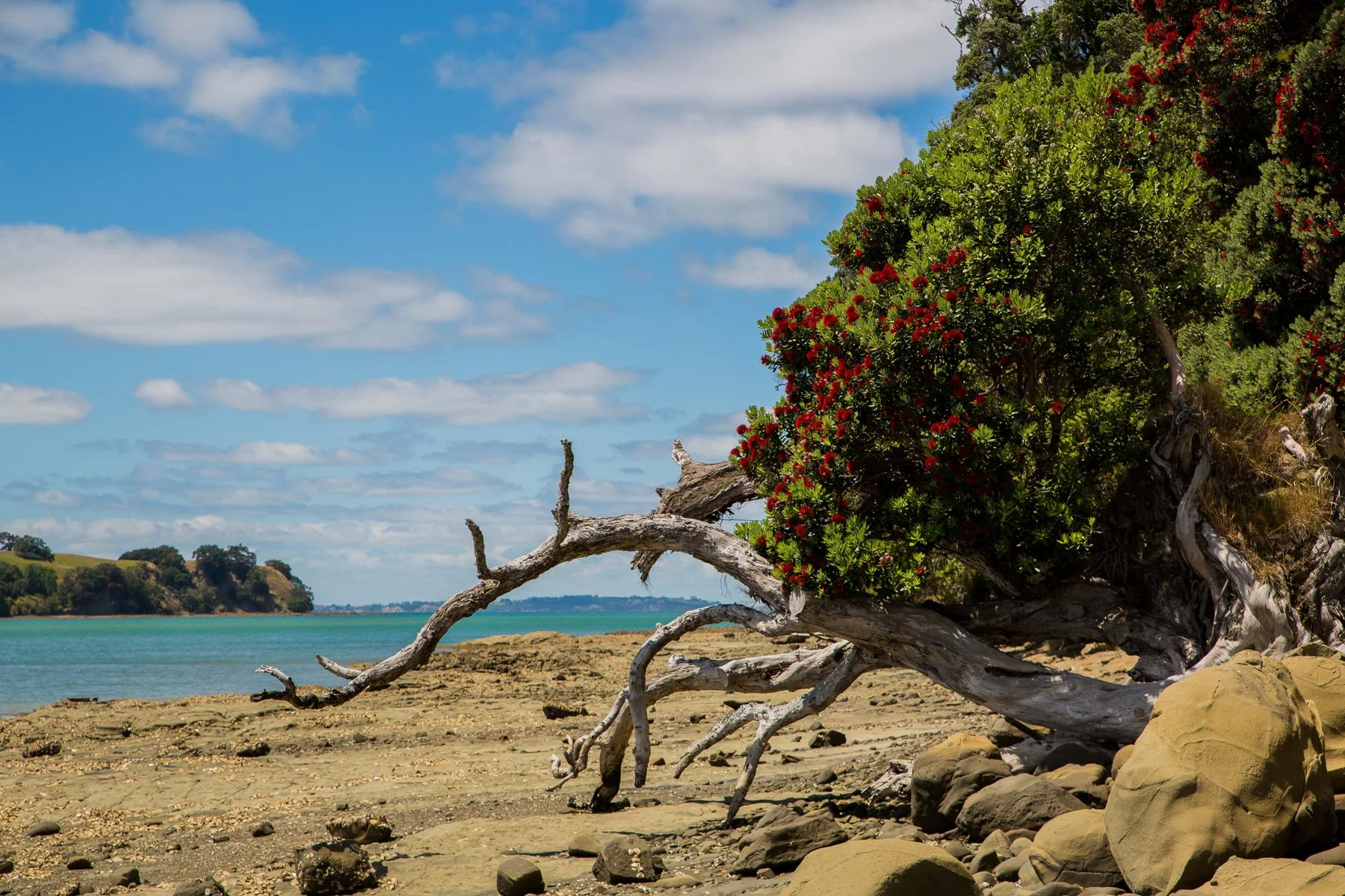 Scotts Landing,Casnell Island,d-155.jpg