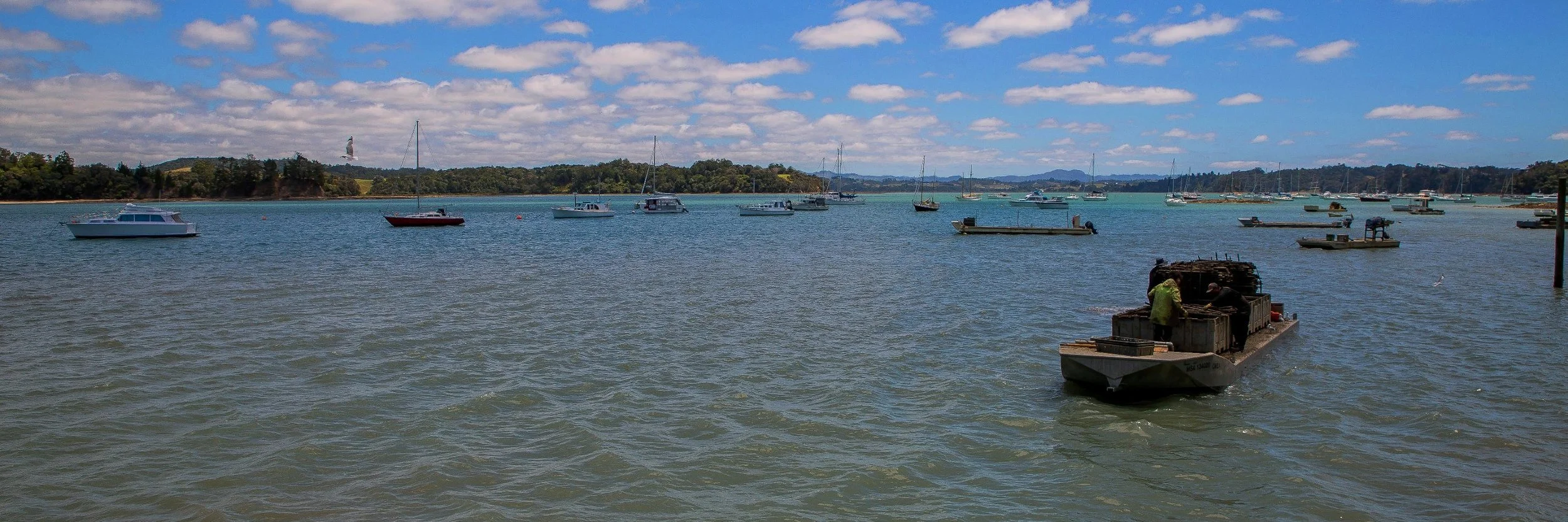 Scotts Landing,d-173.jpg