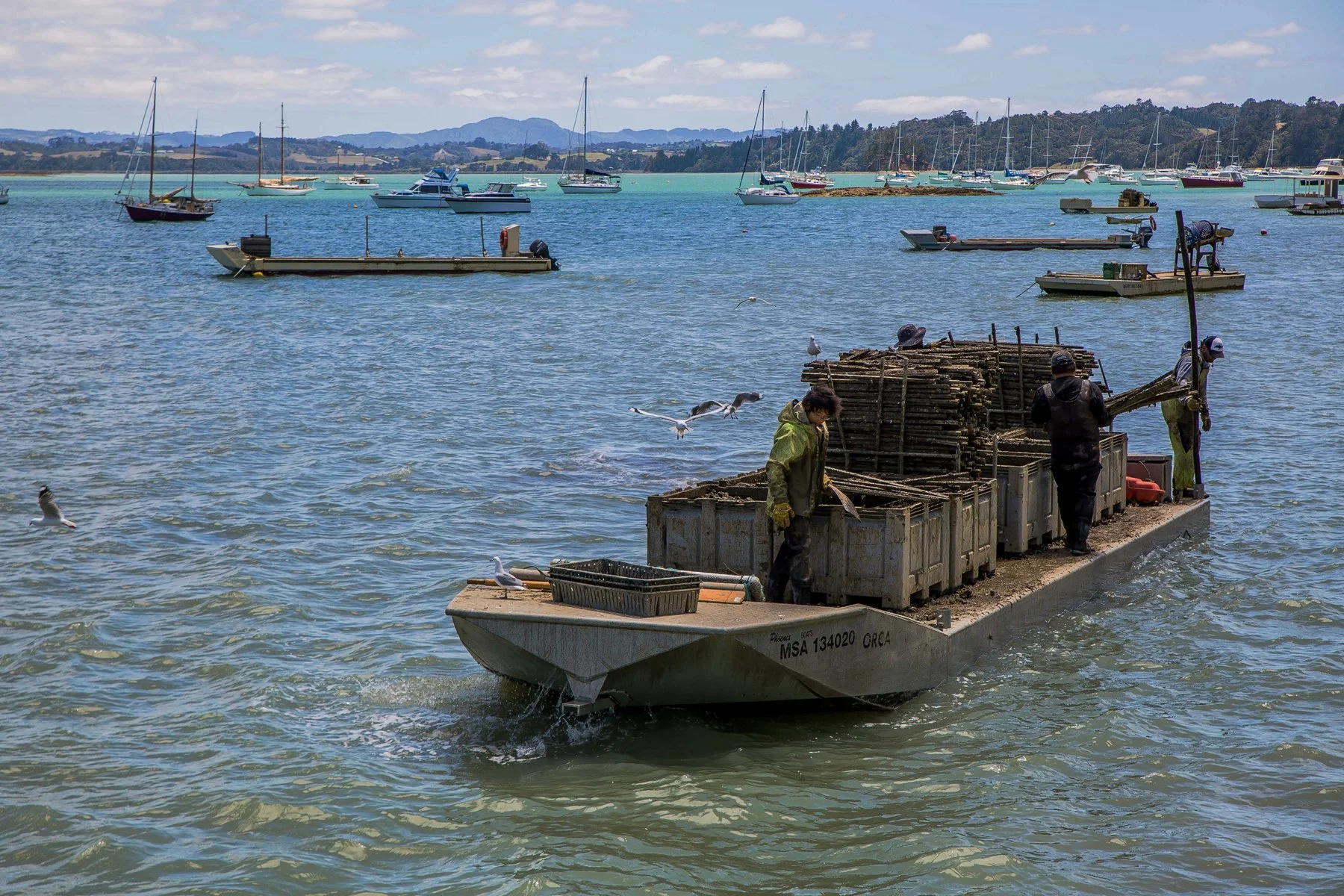 Scotts Landing,d-174.jpg