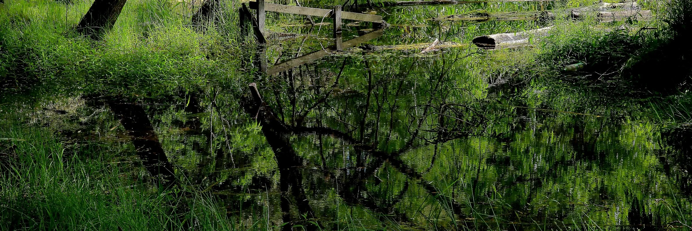 Warkworth Old Cement Works,d345,-.jpg