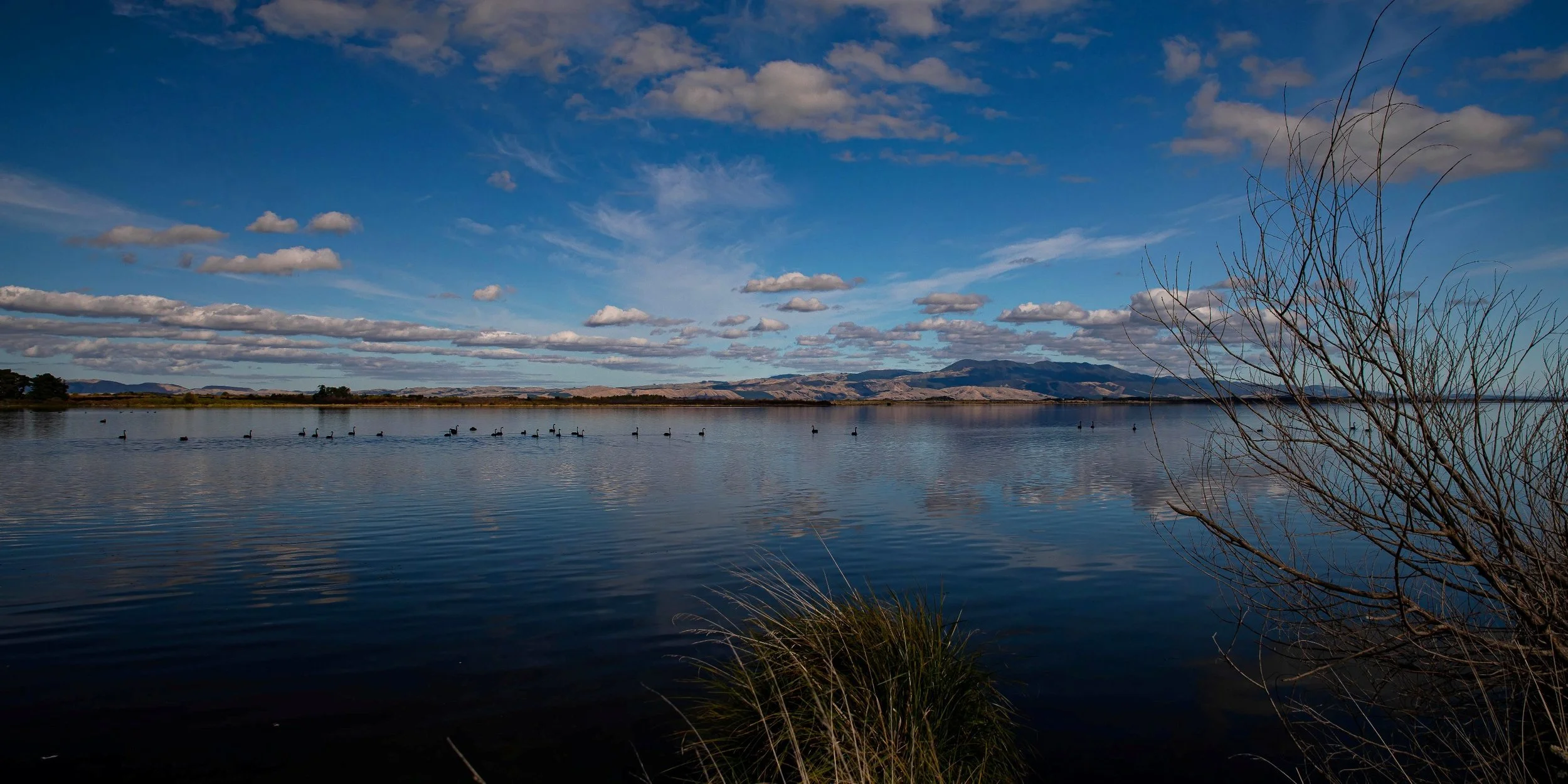 Lake Wairarapa,-697.JPG