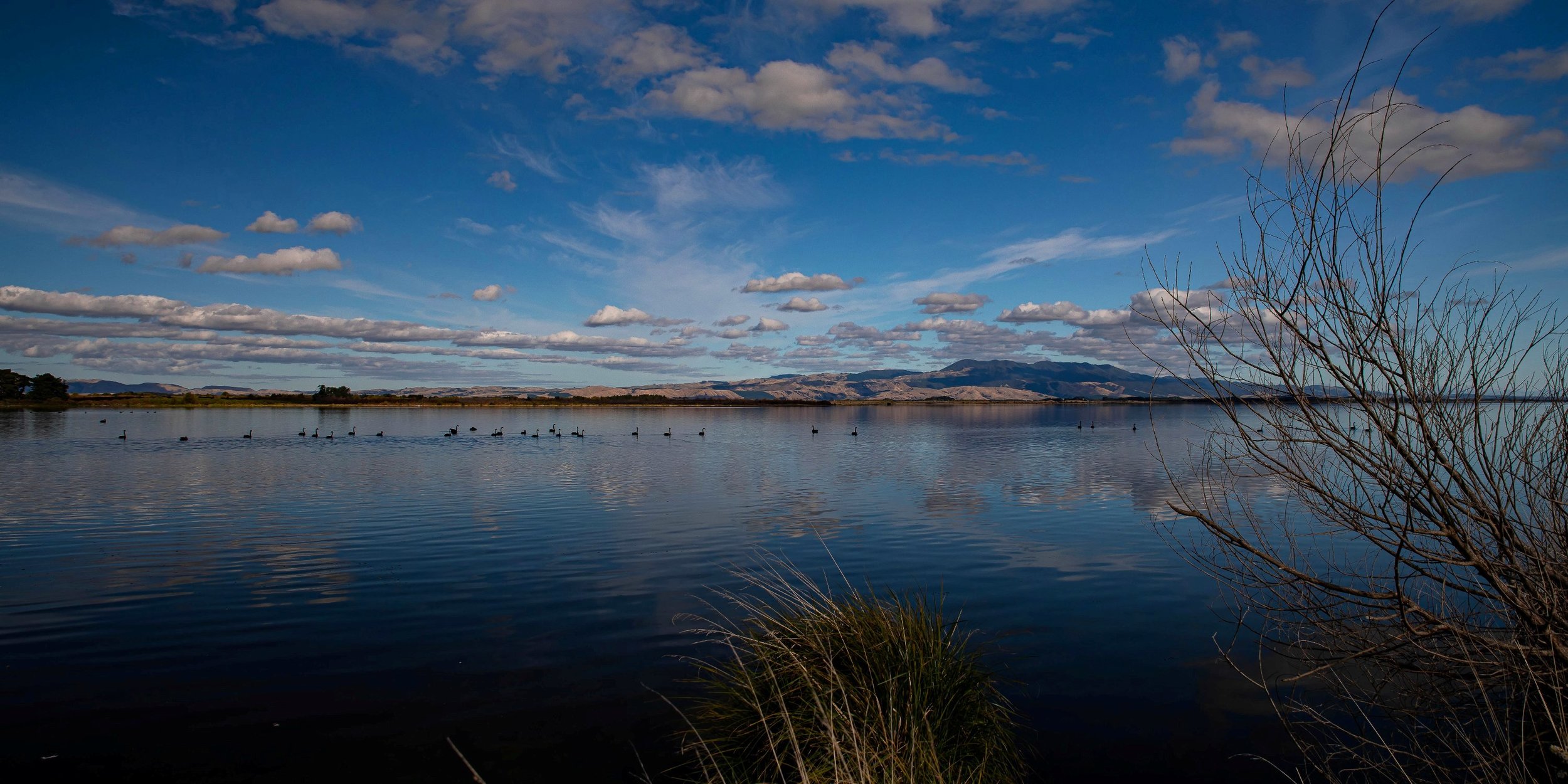 Lake Wairarapa,-697.JPG
