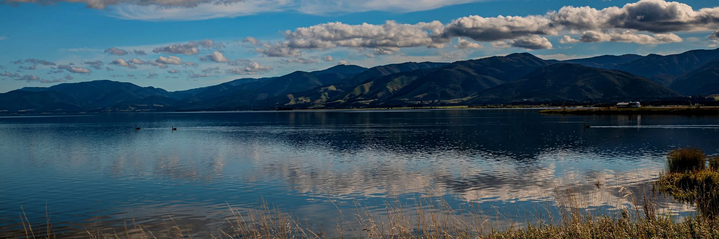 Lake Wairarapa,-703.JPG
