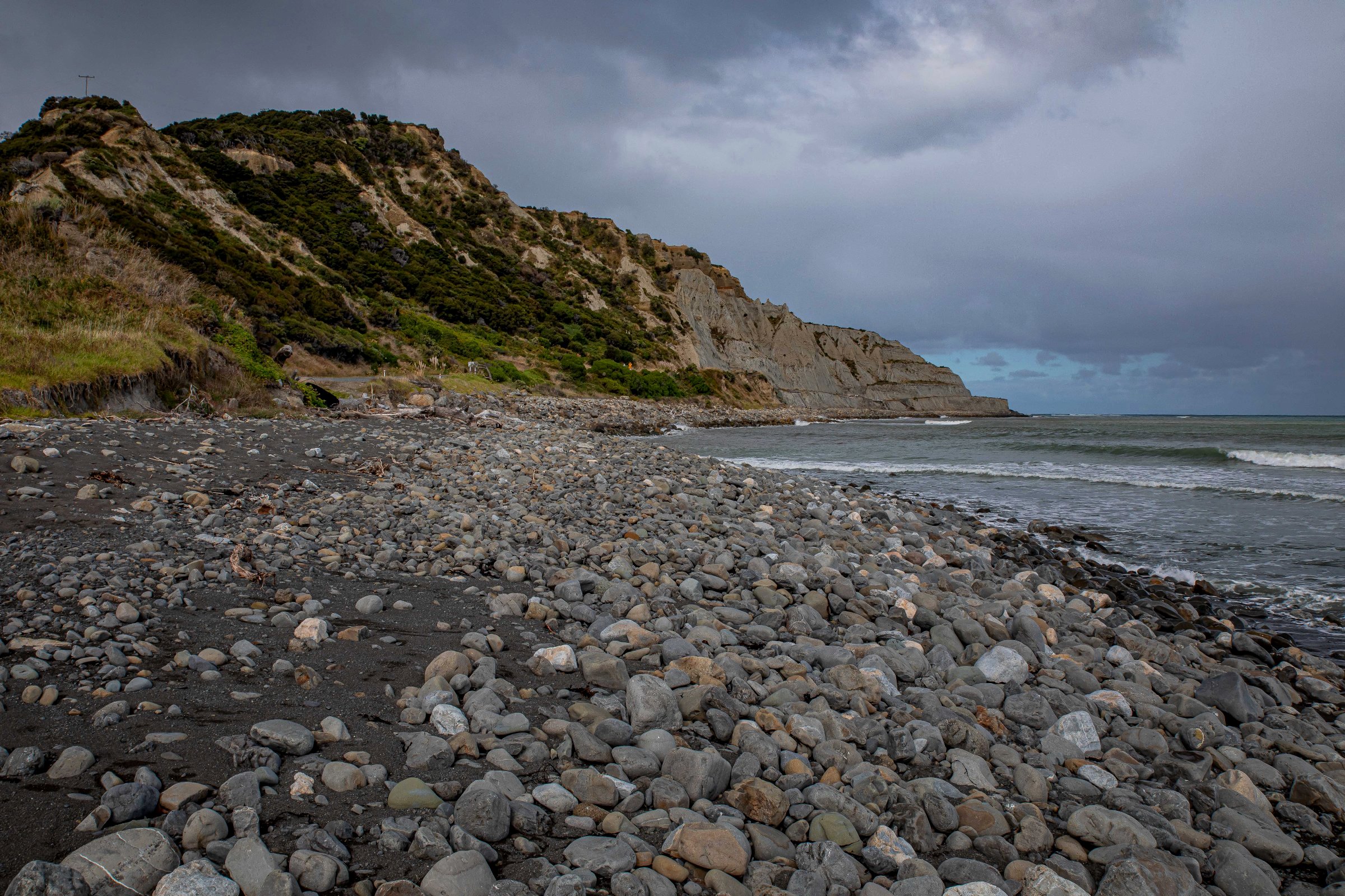 Palliser Bay,-551.JPG